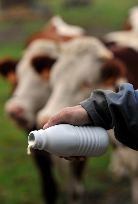 Lait : déjà à l’aube d’un retournement de conjoncture ? | Economie de l'Elevage | Scoop.it