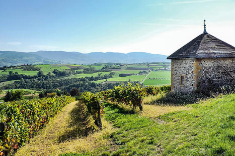 Un sentier de Grande Randonnée de 170km dans la Métropole de Lyon | Tourisme de randonnées                                                                                                                                                                                 & Sports de nature pour les pros | Scoop.it