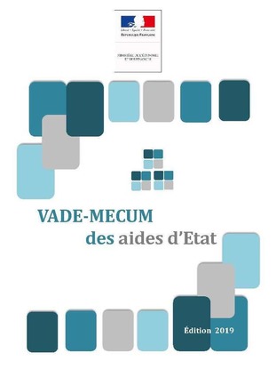 Vade-mecum des aides d'&Eacute;tat - &Eacute;dition 2019&nbsp; | Doc [actu] - Le bulletin bibliographique des nouvelles ressources disponibles au centre de documentation de l&rsquo;ADACL. | Scoop.it