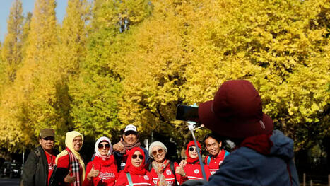 Japan eyes two lakh Indian tourists in 2024 - The Hindu | Indian Travellers | Scoop.it