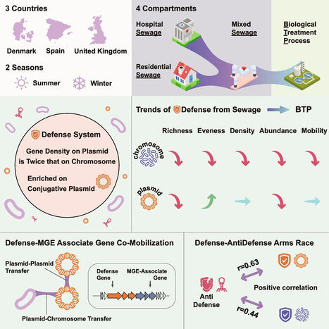 Plasmids as persistent genetic reservoirs of bacterial defense systems in wastewater treatment | Mbm | RMH | Scoop.it