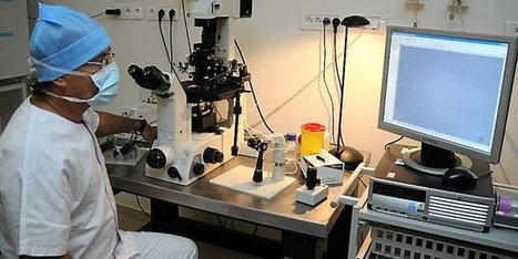 Hérault : la recherche sur l’embryon menacée à Montpellier | Bioéthique & Procréation | Scoop.it