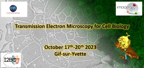 Workshop of Electron Microscopy | I2BC Paris-Saclay | Scoop.it