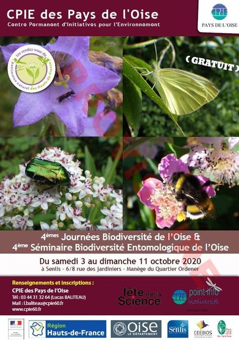 4e Séminaire Biodiversité Entomologique de l’Oise (4 et 8 octobre 2020) | Variétés entomologiques | Scoop.it
