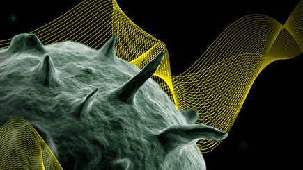 Carl Zimmer: Curing our Influenza Amnesia | World Science Festival | Virology News | Scoop.it