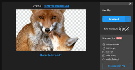 Unscreen- A Great Video Background Removal Tool | Daily Magazine | Scoop.it