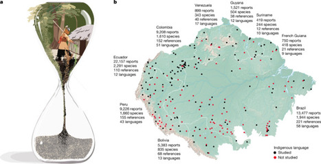 The forest of knowledge under global change | &Eacute;cosyst&egrave;mes Tropicaux | Scoop.it