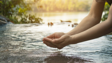 L’eau en 2050 : graves tensions sur les écosystèmes et les usages | Regards croisés sur la transition écologique | Scoop.it