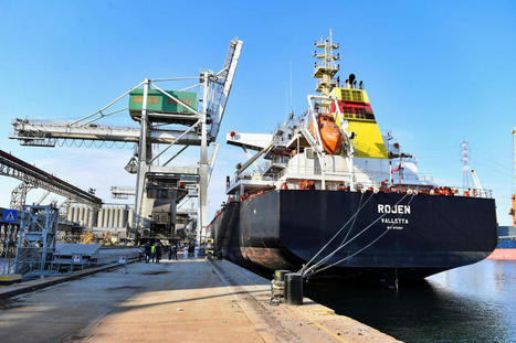 Why Ukrainian grain is not going to countries with a food crisis - Middle East Eye | Agriculture et Alimentation Durable Méditerranéenne | Scoop.it