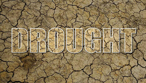 Drought Regions Expand in Missouri - Ozark Radio News | Operation Deimos | Scoop.it