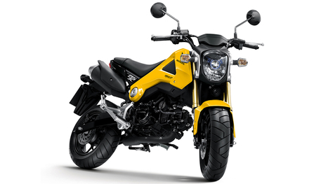 2013 Honda Grom - 124cc, 9.66 BHP - 11 NM, $2,999 | Maxabout Motorcycles | Scoop.it