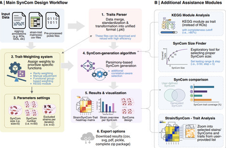 SynCom101: A web-based platform for the standardized design of functionally tailored synthetic microbial communities | brveco | RMH | Scoop.it