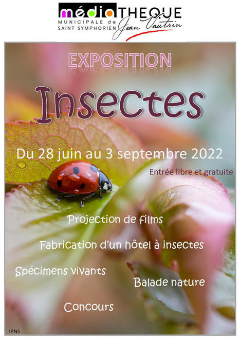 Exposition « Insectes » – Bienvenue à Saint-Symphorien 33113 | Variétés entomologiques | Scoop.it