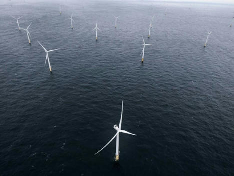 La difficile évaluation environnementale des éoliennes en mer | Environnement : Politiques Publiques et Stratégie | Scoop.it