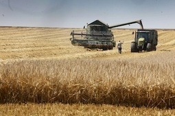 Terres agricoles en Roumanie : champ libre à la spéculation | Questions de développement ... | Scoop.it