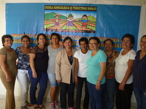 Women Farmers in Peru Bring Healthy Meals to Local Schools | Questions de développement ... | Scoop.it