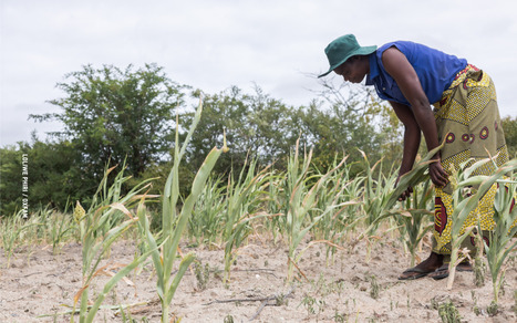 A New Recipe: Why Agriculture Ministers in Europe and Africa Must Choose People, Not Profits | Questions de développement ... | Scoop.it