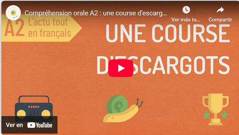 Une course d'escargots | POURQUOI PAS... EN FRANÇAIS ? | Scoop.it