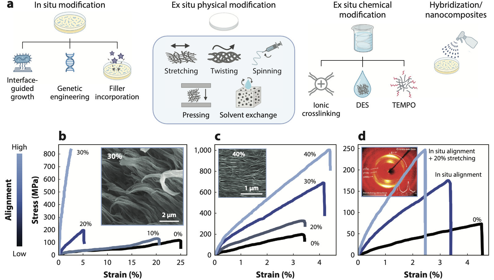 Microbial Polymers and Living Interfaces: Inter...