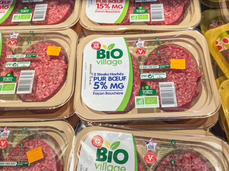 Viande bovine bio : des déséquilibres de marché qui s'accentuent | Actualité Bétail | Scoop.it