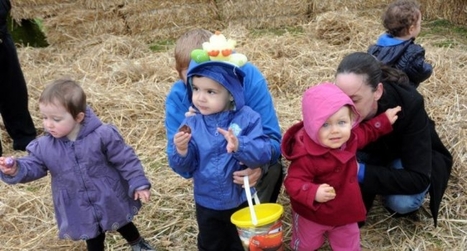 O&ugrave; chercher des oeufs de P&acirc;ques dans la r&eacute;gion : les d&eacute;tails dans notre carte interactive - 30/03/2018 | Destination Albi - revue de presse | Scoop.it