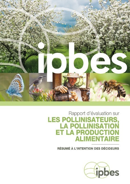 Rapport d'évaluation de l'IPBES sur les pollinisateurs : résumé à l'intention des décideurs | Insect Archive | Scoop.it