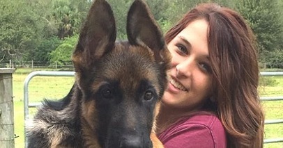 german shepherd puppies for sale by breeders