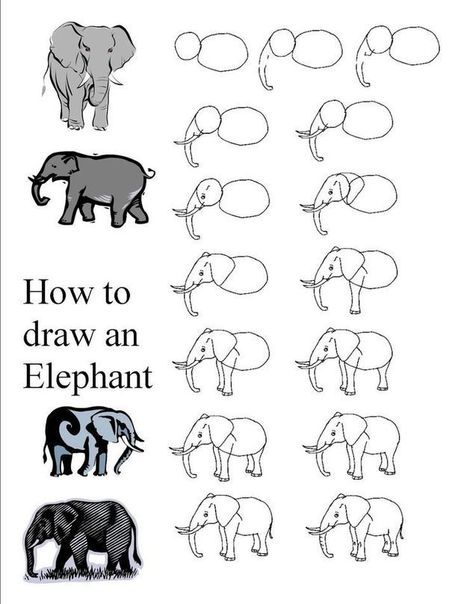 Elephant Drawing Tutorial | Drawing and Painting Tutorials | Scoop.it