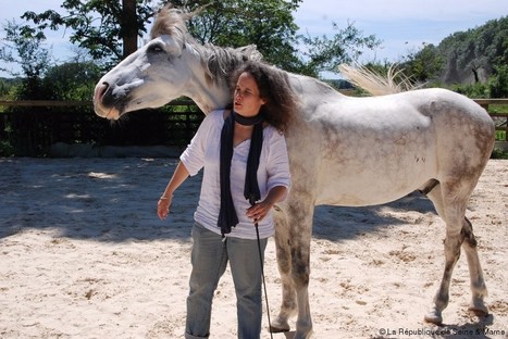 Bombon Une cagnotte participative pour sauver le cheval "Vaillant" | Cheval et Nature | Scoop.it