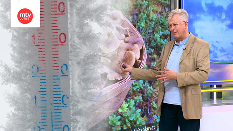 Jättikäänne marraskuun sääennusteessa | MTV Uutiset | 1Uutiset - Lukemisen tähden | Scoop.it