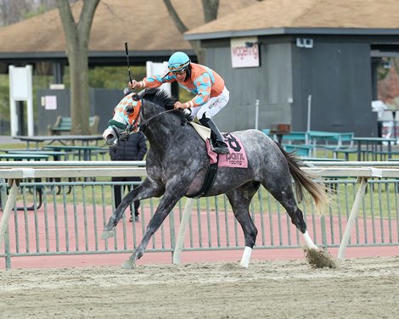 HISA Provisionally Suspends Lopez for Postrace Strike - BloodHorse | Racing News | Scoop.it