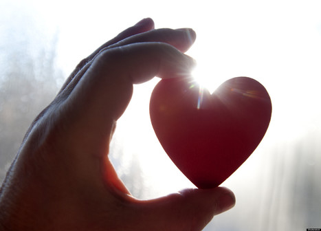 Letting Love Win: Coping with Fear, Anger, Grief and Despair in the Wake of Tragedy | Grief & Bereavement Counseling | Scoop.it
