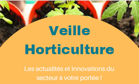 Pour vous abonner aux bulletins de veille ! | HORTICULTURE | Scoop.it