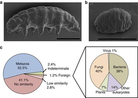 Abeilles Des Asticots Artificiels Des Asticots 20 Pièce