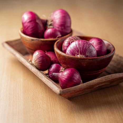 “Meaty aroma” from fermented onions can enhance plant-based meat’s appeal, flags research | IPCI : Ingénierie de Produits à l'interface Cuisine-Industrie | Scoop.it