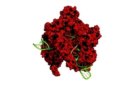 Titanic clash over CRISPR patents turns ugly | Immunology and Biotherapies | Scoop.it