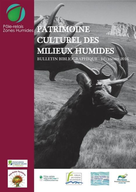 Films et milieux humides dans La collection "Pôles-relais - bulletins bibliographiques" | Biodiversité | Scoop.it