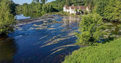 Fongicide déversé dans des rivières : deux accidents similaires en moins d'un mois en Loire-Atlantique et Vendée / le 10.05.2023 | Pollution accidentelle des eaux par produits chimiques | Scoop.it