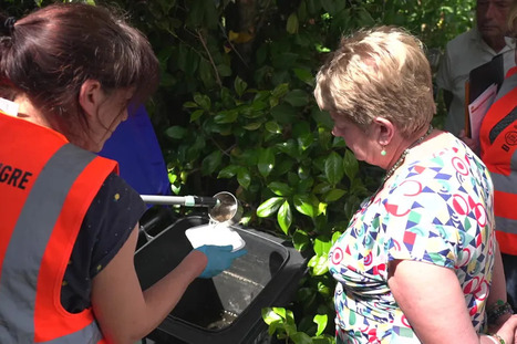 Moustique-tigre : une journ&eacute;e avec la brigade charg&eacute;e de traquer cet insecte potentiellement vecteur du chikungunya | Les Colocs du jardin | Scoop.it