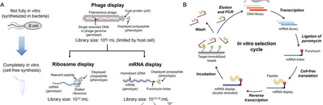 Protein engineering: Status report | RMH | Scoop.it