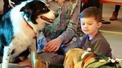 Seven Stories creates dog-friendly reading sessions | Reading Resources for ELT | Scoop.it