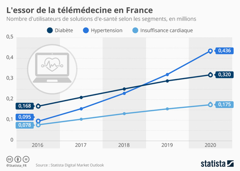 Infographie: L'essor de la télémédecine en France #esante #hcsmeufr | Télémédecine | Scoop.it