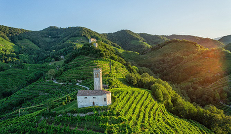 VIN : Le prosecco, un vin traditionnel devenu un symbole de l’excellence italienne  | ALIMENTATIONS | Scoop.it