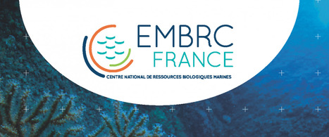 Appel 2026 pour l'accès aux services et ressources d'EMBRC-France | Life Sciences Université Paris-Saclay | Scoop.it