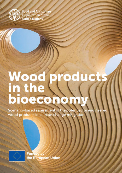 REPORT: Wood products in the bioeconomy | RESSOURCES | Scoop.it