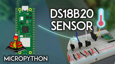 Raspberry Pi Pico: DS18B20 Temperature Sensor (MicroPython) | tecno4 | Scoop.it