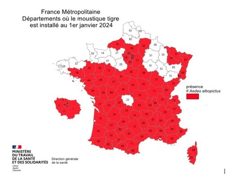 98 cas importés de dengue en France métropolitaine depuis début mai, dont 94 dans les départements où l’implantation d’Aedes albopictus a été documentée | EntomoNews | Scoop.it