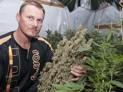 Rules change on Olympic marijuana testing | Beckley News : Cannabis - Marijuana | Scoop.it