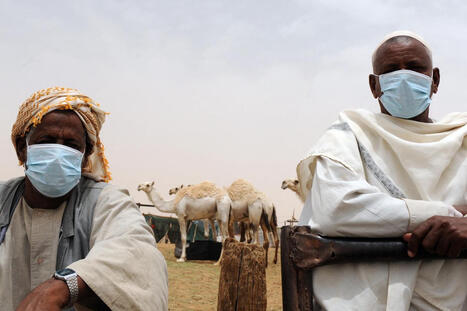 [Gestion des Risquess Sanitaires] deux cas de coronavirus MERS-Cov, cousin du SRAS plus mortel mais moins contagieux, identifiés en France sur des personnes de retour d'un voyage en péninsule arabique | Gestion des Risques | Scoop.it