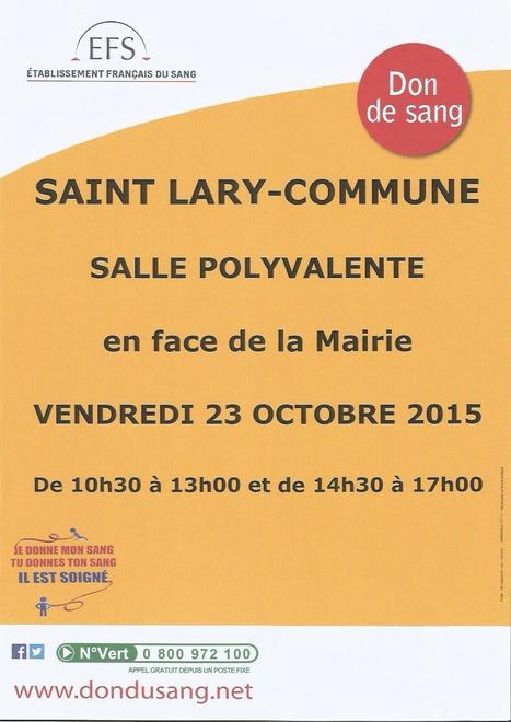Merci aux 40 donneurs de sang de Saint-Lary ! | Vall&eacute;es d'Aure & Louron - Pyr&eacute;n&eacute;es | Scoop.it